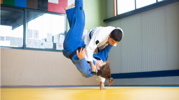 Formation grade kata  UV1 et technique UV2 départementale, samedi 10 Janvier à Dreux